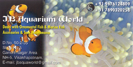 J B Aquarium World Gandhi Nagar Area NH 5 in Visakhapatnam Vizag,NH 5, NSTL In Visakhapatnam, Vizag