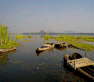 --Kondakarla-Bird-Sanctuary- Tourism Photo Gallery in Visakhpatnam, Vizag